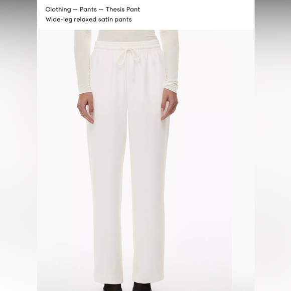 Aritzia brand new pants - Picture 5 of 6